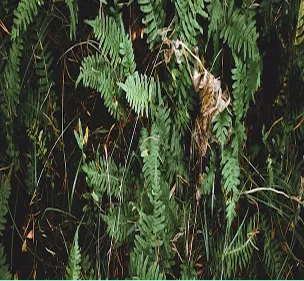 Why This Thriller Feels So Real